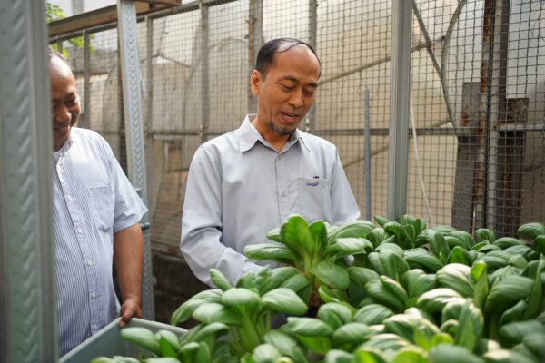 panen agroteknologi 5